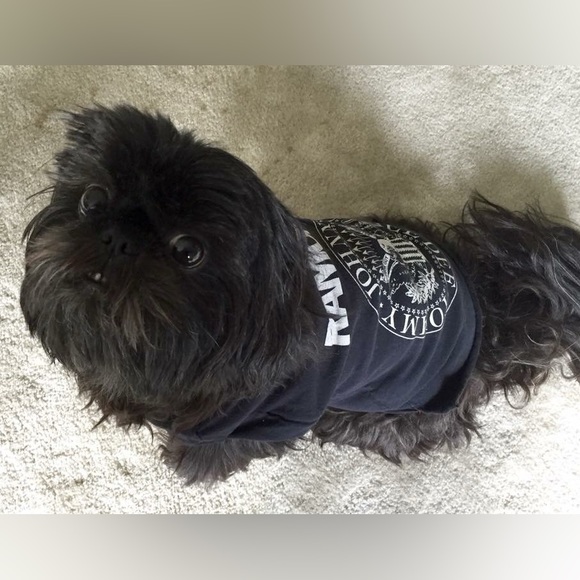 Meet your Posher, Amy - Picture 2 of 5